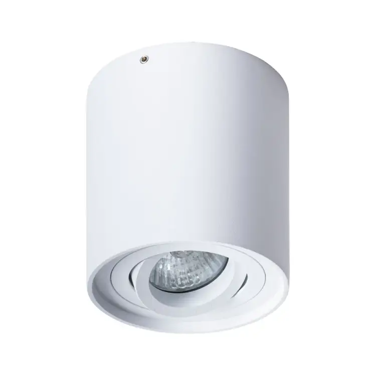 Потолочный светильник ARTE LAMP FALCON A5645PL-1WH