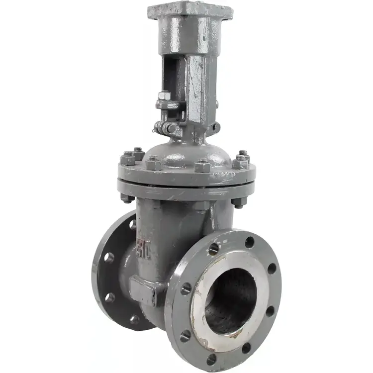 Клиновая задвижка DN.ru 30с941нж ду250 ру16 D040-03778