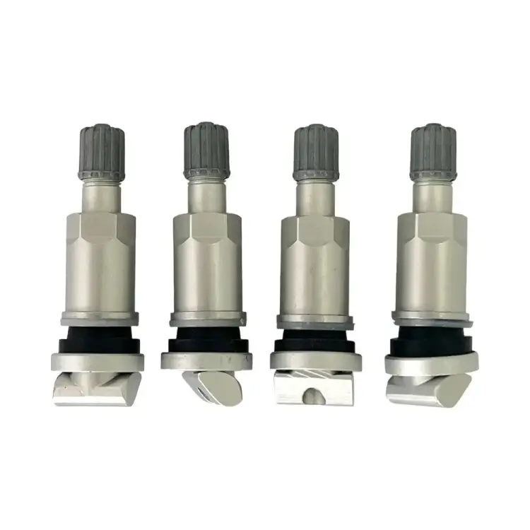 Комплект вентилей под датчик NORM TPMS-11 Комплект вентилей под датчик NORM TPMS-11