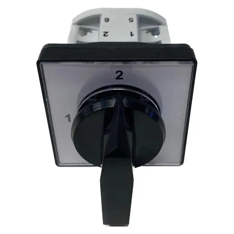 Кулачковый переключатель Elkey cs 10-02.002fp9.08 4687202840953