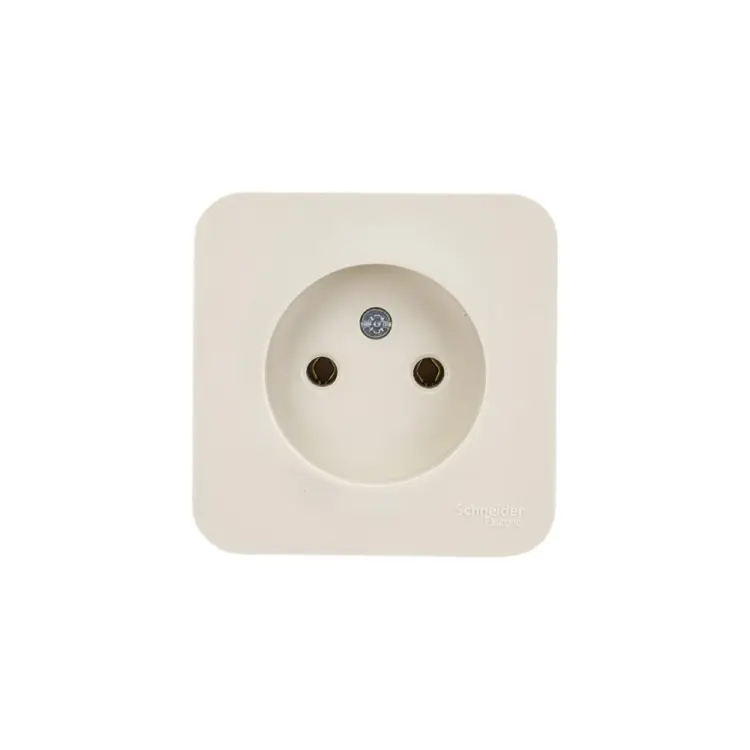 Одноместная розетка Systeme Electric Blanca BLNRA000117