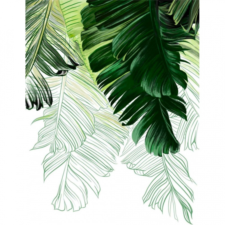 Фотообои Dekor Vinil Акварельные пальмовые листья на белом фоне