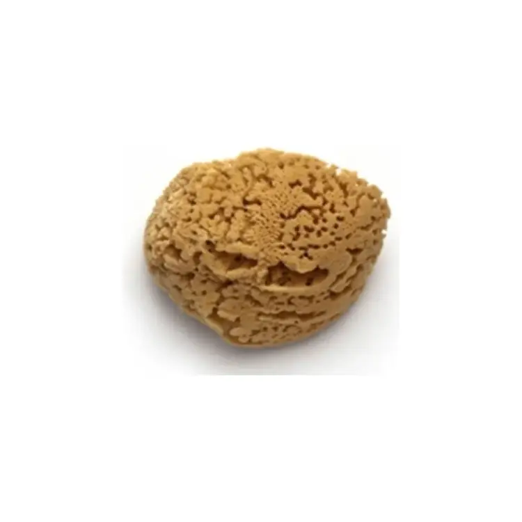 Натуральная морская губка PAVAN 3120 S0112504