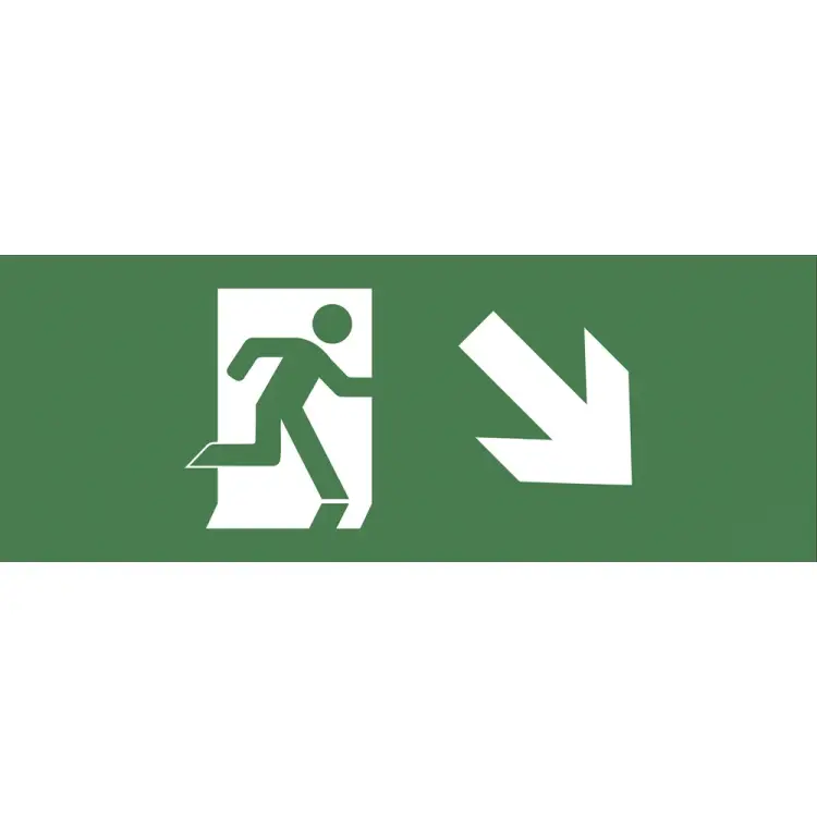 Самоклеящаяся этикетка ЭРА INFODBA006 Б0048458