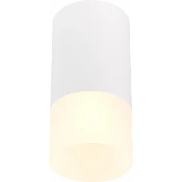 Потолочный светильник ST luce ST100.512.01