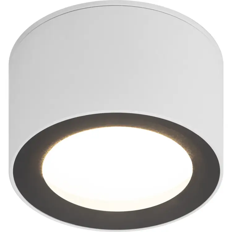 Настеннопотолочный спот светильник ЭРА Б0055581