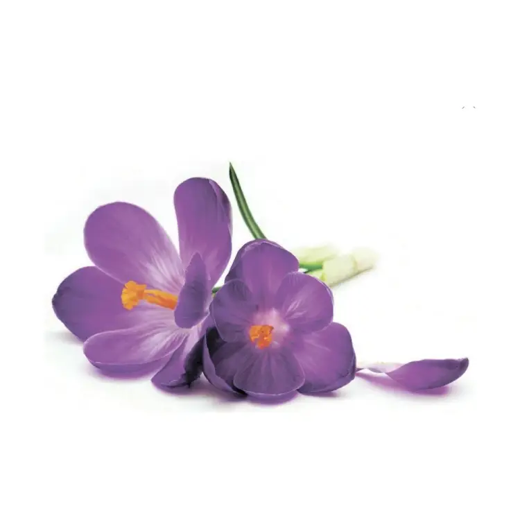 Тканевая шторка для ванны Melodia della vita Нежные крокусы MZ-142 20914