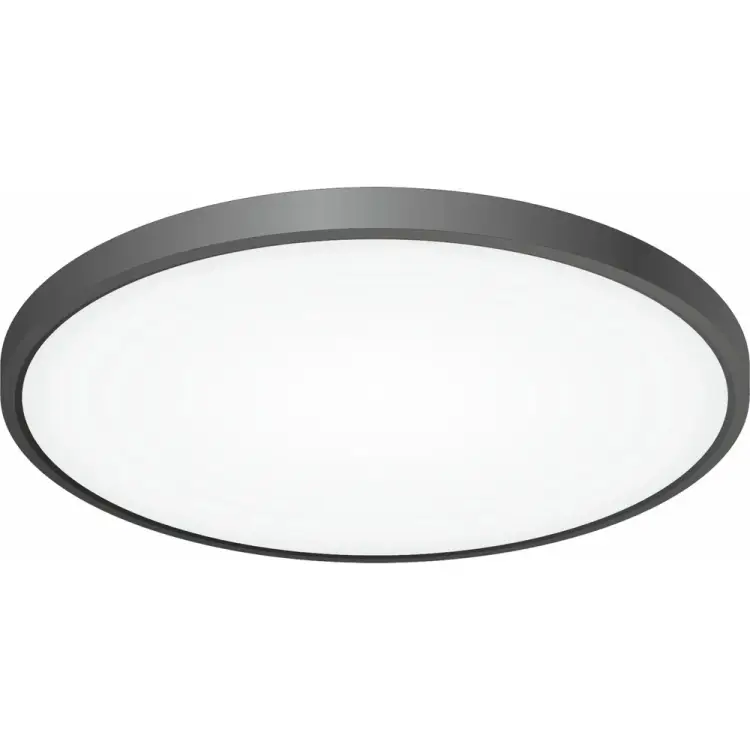 Накладной светильник Citilux Бейсик CL738401V