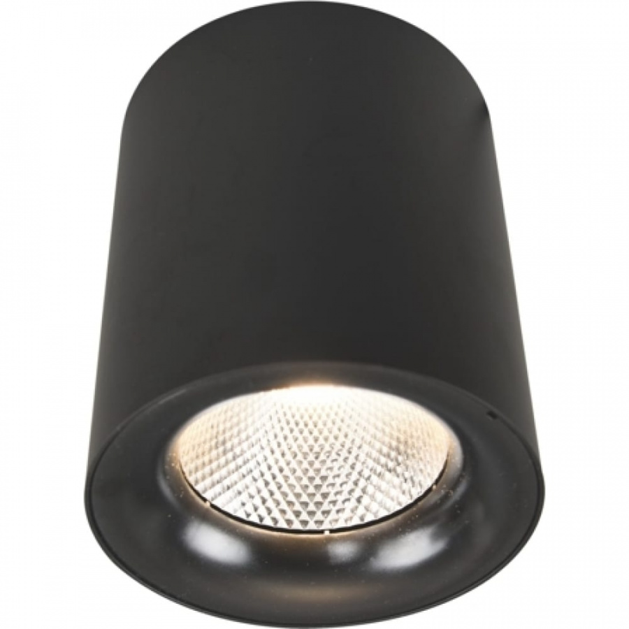 Потолочный светильник ARTE LAMP A5118PL-1BK