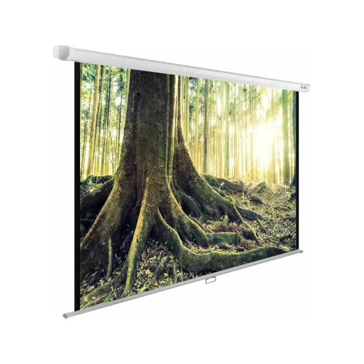 Настенно-потолочный рулонный экран Cactus WallExpert 1:01 407890