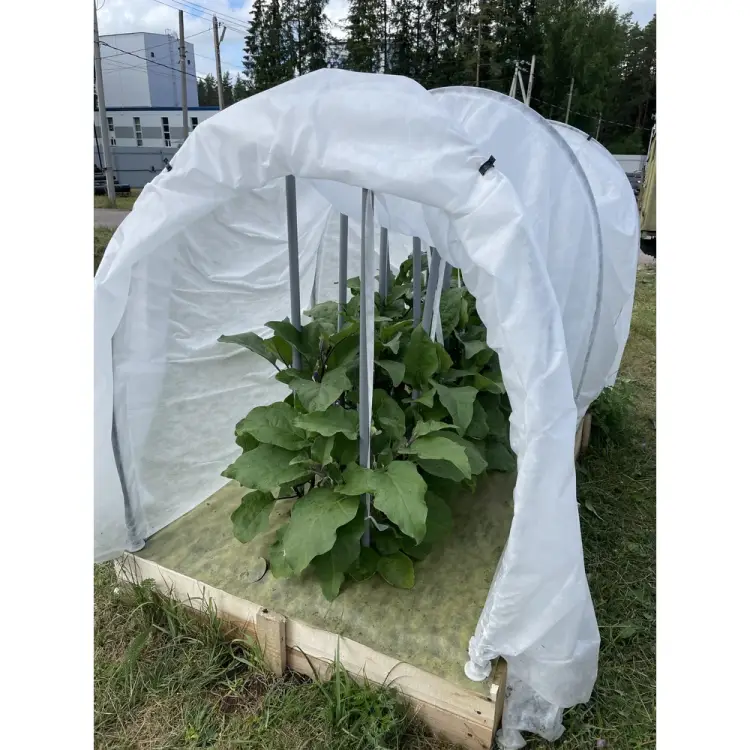 Высокий парник Агротекс 32.01.66.03.00.000.0004.0000.00 Высокий парник Агротекс 32.01.66.03.00.000.0004.0000.00