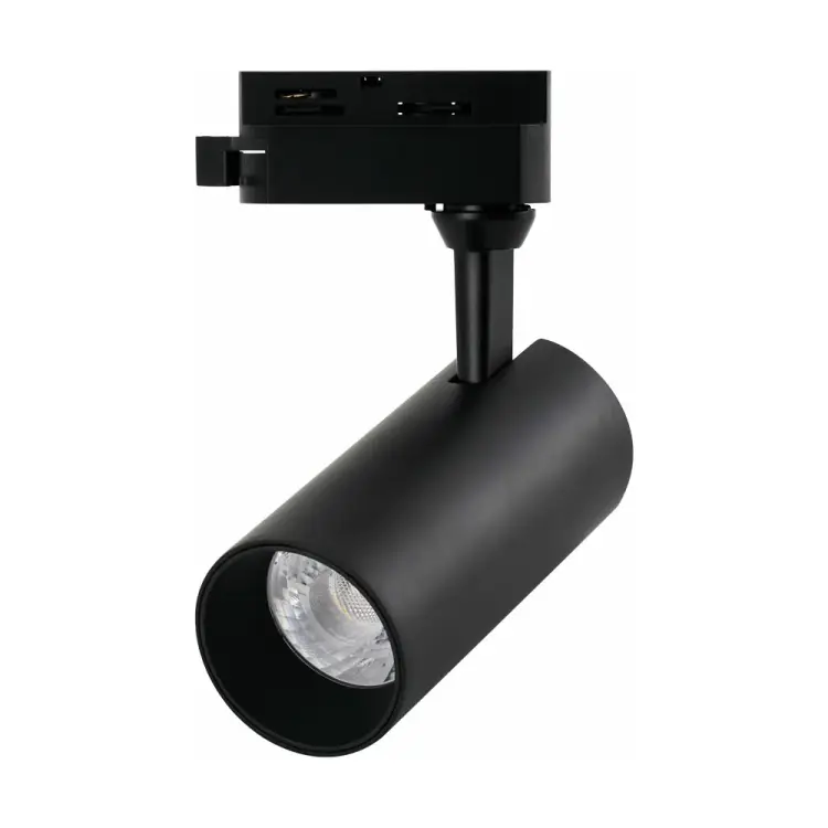 Трековый светильник ARTE LAMP REGULUS A4568PL-1BK