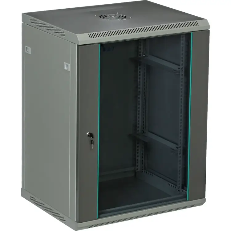 Настенный серверный шкаф W&T C156050GWTWOF Настенный серверный шкаф W&T C156050GWTWOF