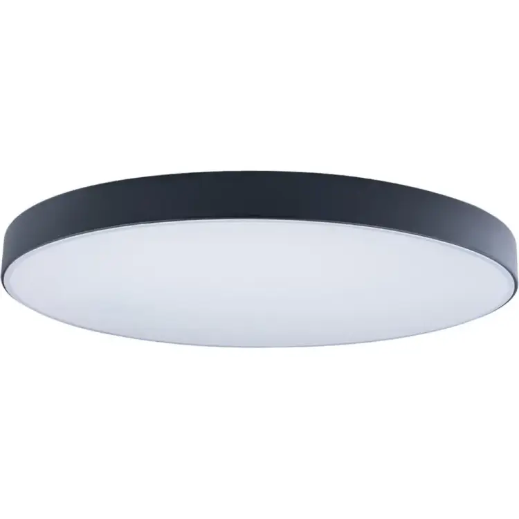 Накладной светильник LOFT IT Axel 1 10002/48 Black