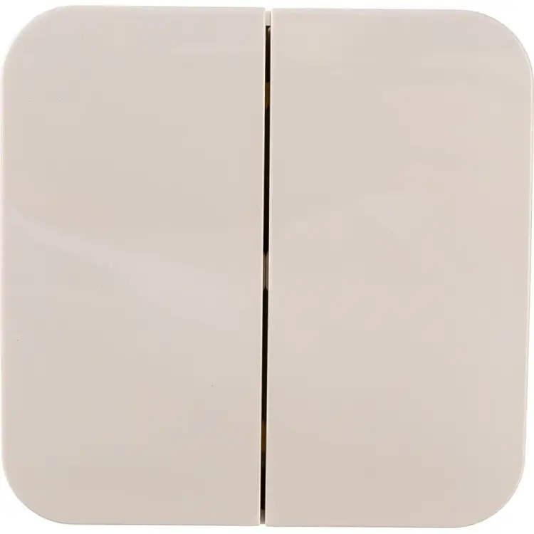 Двухклавишный выключатель Systeme Electric Blanca BLNVA105017