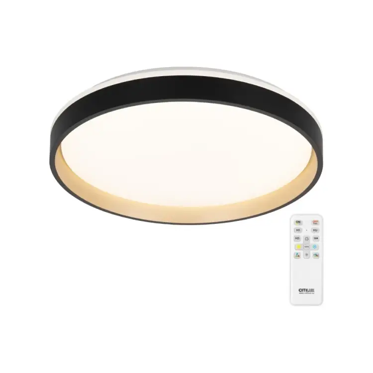 Светильник Citilux ENZO LED RGB CL753451G