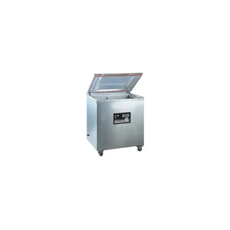 Напольный вакуум-упаковочная машина CAS CVP-460/2G OZ0VP0000GCI0504