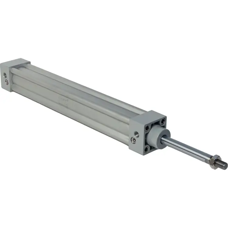 Пневмоцилиндр NBPT 81890