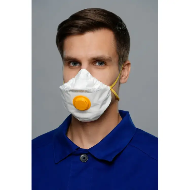 Респиратор Лепесток 5 Сб кл FFP1 NR D 601