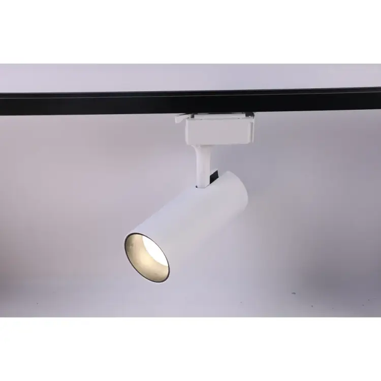 Трековый однофазный светильник ЭРА TR520 COB WH Б0049052