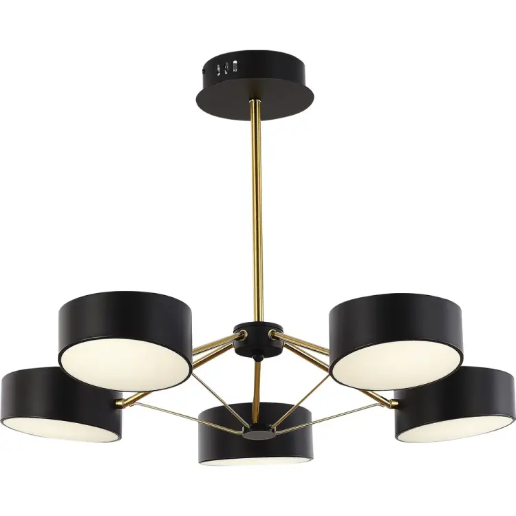 Люстра Evoluce VALLE SLE6005-402-05