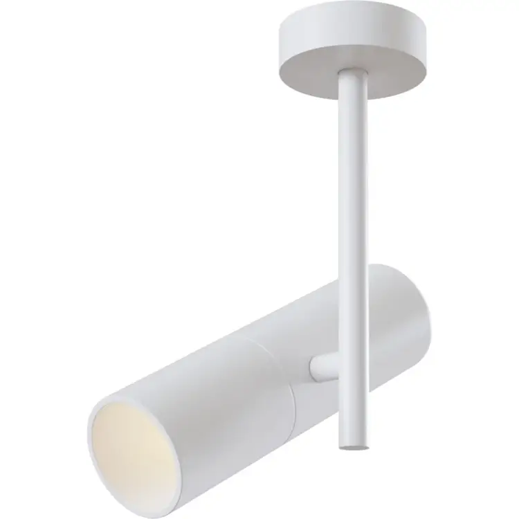 Потолочный светильник MAYTONI Elti C020CL-01W