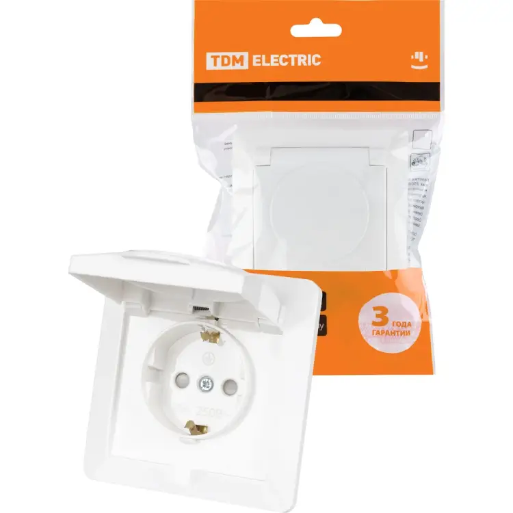 Розетка TDM ELECTRIC Ильмень SQ1823-0017