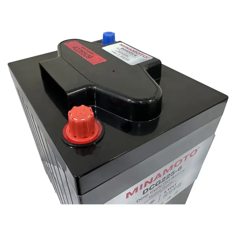 Тяговый моноблок MINAMOTO DCG225-6 594000