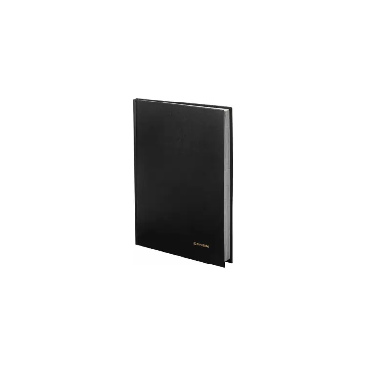 Книга учета BRAUBERG 130223 Книга учета BRAUBERG 130223