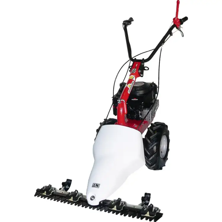 Сенокосилка Eurosystems BILAMA 210 B&S 625 Series 965164700