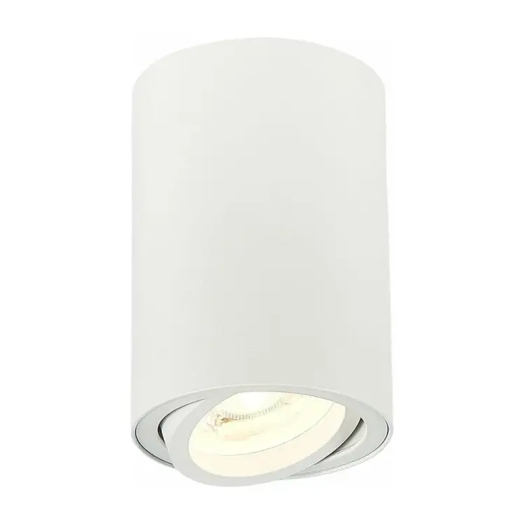 Потолочный светильник ST luce TORUS ST108.507.01