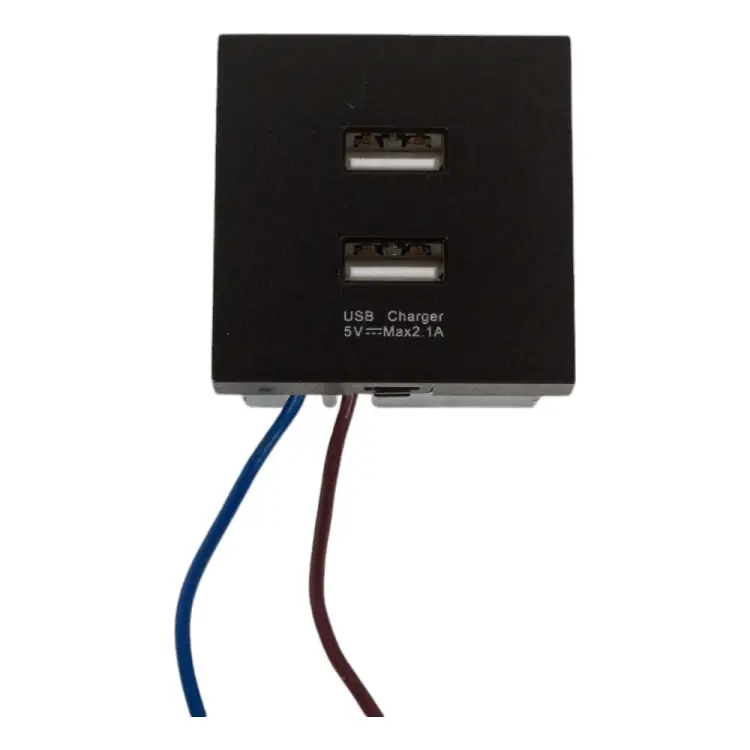 Розетка LIVOLO AM-2USB-12