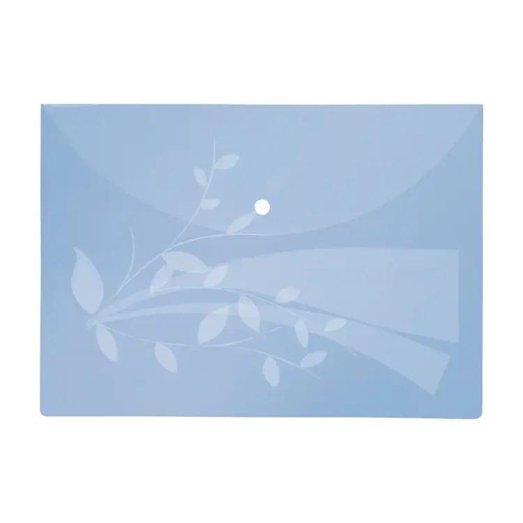 Папка Flexoffice FO-CBF02 BLUE