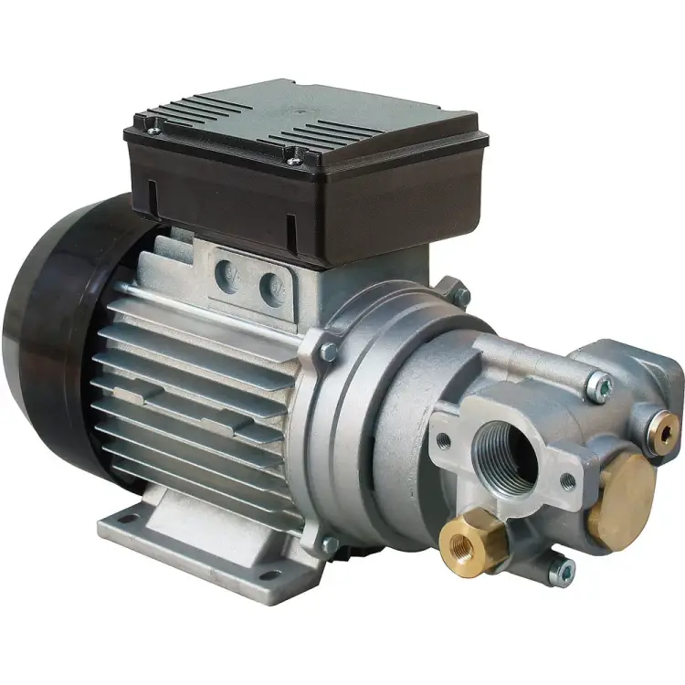 Электрический шиберный насос для перекачки масла PIUSI Viscomat 230/3 M F0030430D Электрический шиберный насос для перекачки масла PIUSI Viscomat 230/3 M F0030430D