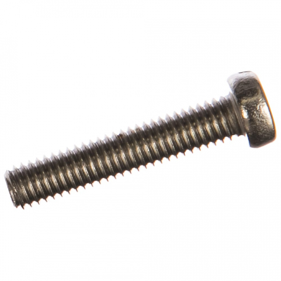 Винт ЕВРОПАРТНЕР 6x30 DIN84 (4 шт.)