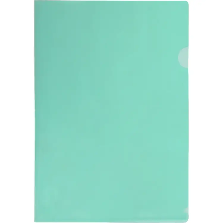 Папка уголок Flexoffice FO-CH01 GREEN Папка уголок Flexoffice FO-CH01 GREEN