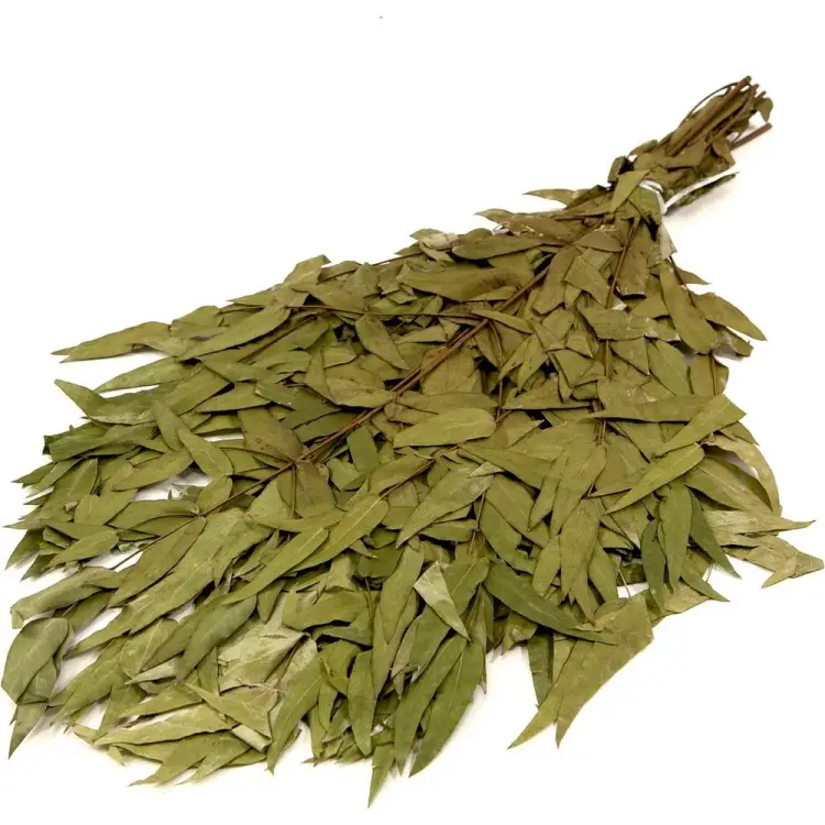 Эвкалиптовый веник Банная линия 10-666 Эвкалиптовый веник Банная линия 10-666