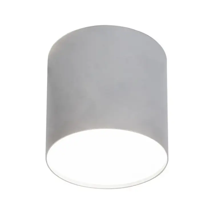 Потолочный светильник FERON 41281