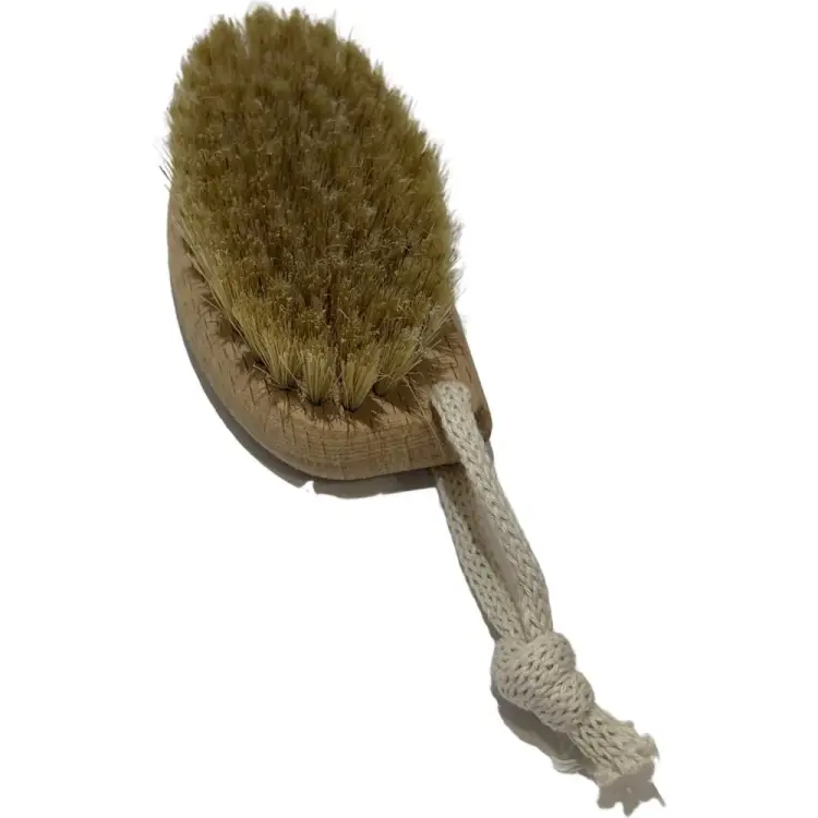 Щетка для массажа ООО Агростройлидер САД-24.02 Щетка для массажа ООО Агростройлидер САД-24.02