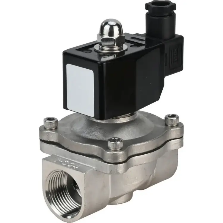 Электромагнитный клапан DN.ru VS2W-301V-NC D130-01844