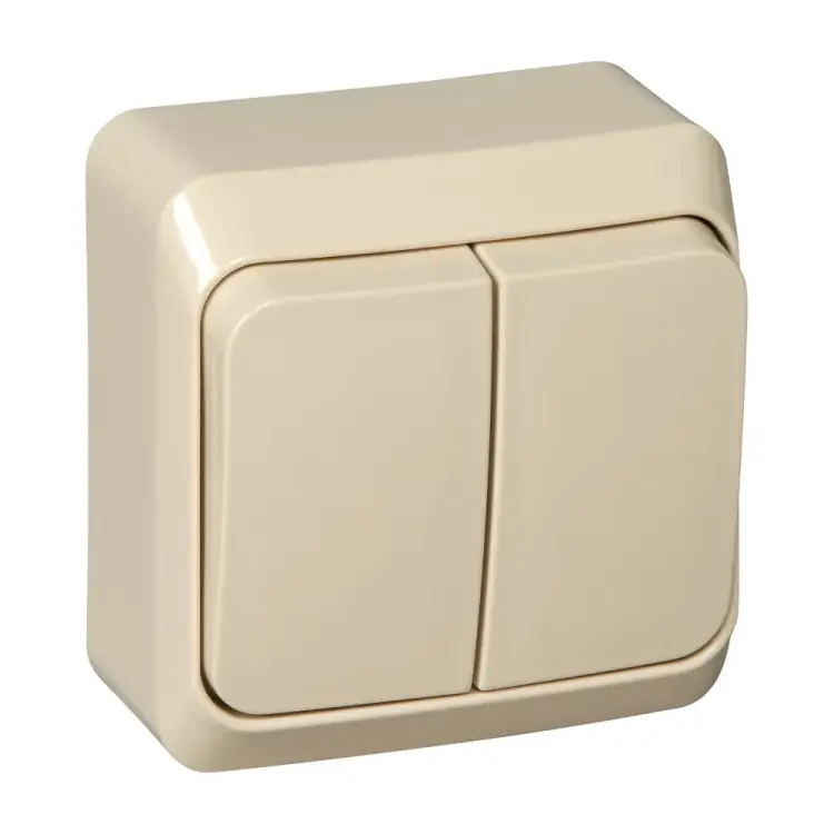 Двухклавишный выключатель Systeme Electric Этюд BA10-002K