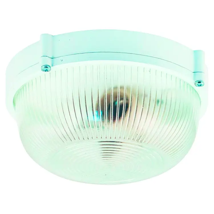 Светильник ЭЛЕТЕХ НПП 03-60-013 Банник 1301 1005501076