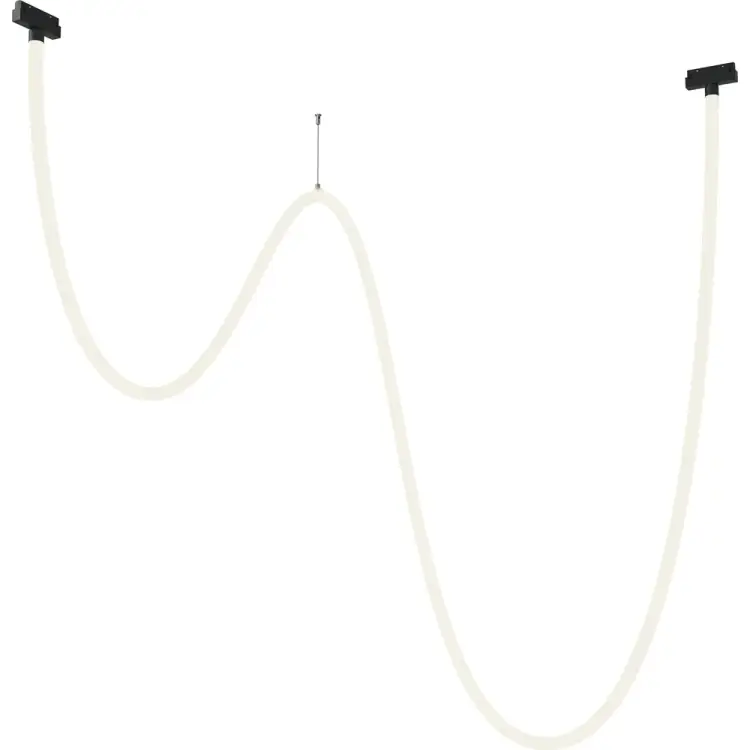 Трековый подвесной светильник MAYTONI exility TR101-2-100W4K-B