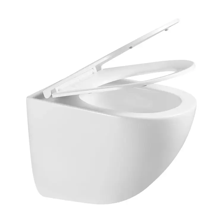 Безободковый подвесной унитаз VINCEA Bien Tornado VT1-51T