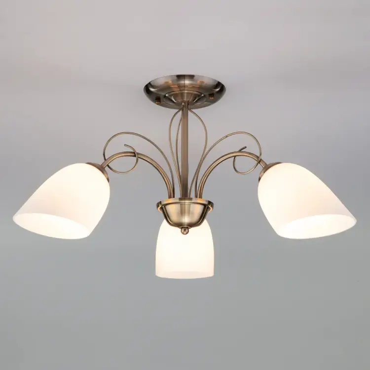 Потолочный светильник Eurosvet 30107 3 00000078346