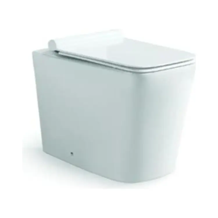 Приставной безободковый унитаз Santi Line SL-5021