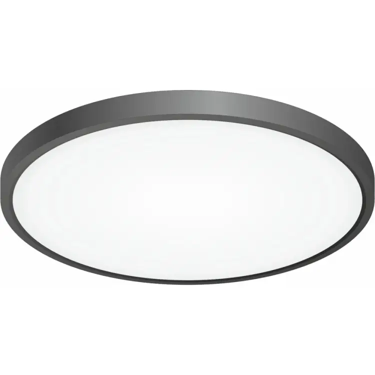 Накладной светильник Citilux Бейсик CL738321V