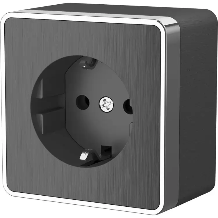 Розетка WERKEL W5071004  a051339