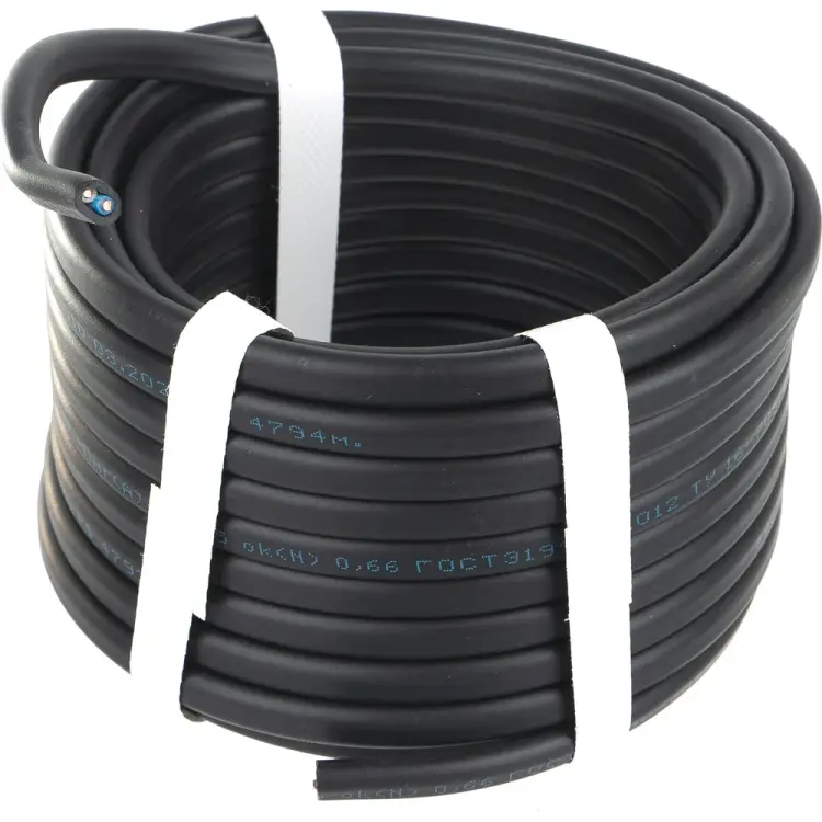 Кабель ВВГ-Пнг REXANT 01-8202-10