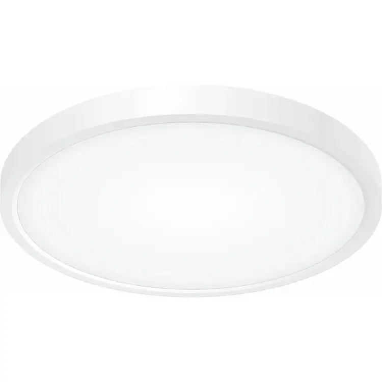 Накладной светильник Citilux Бейсик CL738240V